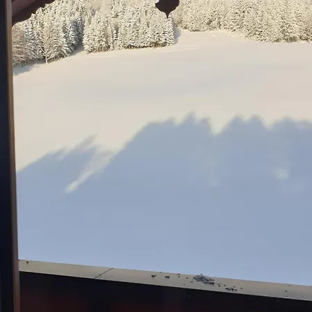 Datzmannlehen Ferienwohnung Bergsteiger Mit Wiesenblick Und Sauna Apartment